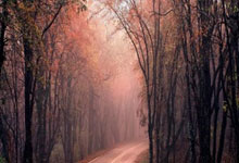 不是压着打吗印尼主帅克鲁伊维特一脸苦笑,队员也很懵逼.