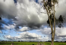 亚博体育：短评：让体育课成为孩子看见运动的“窗”.