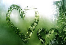 哈曼：帕夫洛维奇这赛季可能已报销 纳帅应直接暂定努贝尔当一门.