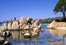 亚博体育：潘伟力：奥斯卡亲口说归化进程仍在推进，6月有机会加入国足.